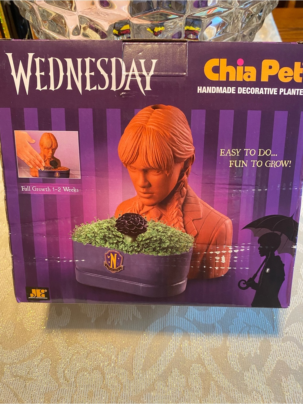 Wednesday Chia Pet Handmade Decorative Planter - Purple